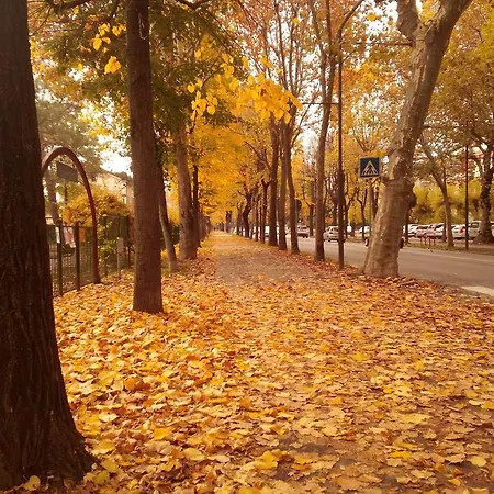 公寓 Casa Nel Parco *